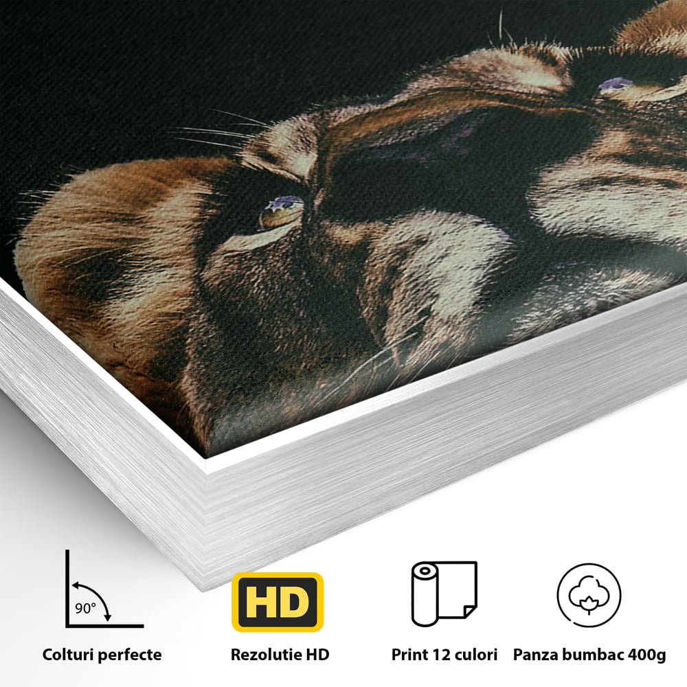 Detaliu al suprafetei: tablou canvas cu leu si mesaj motivational, in rama de aluminiu argintiu